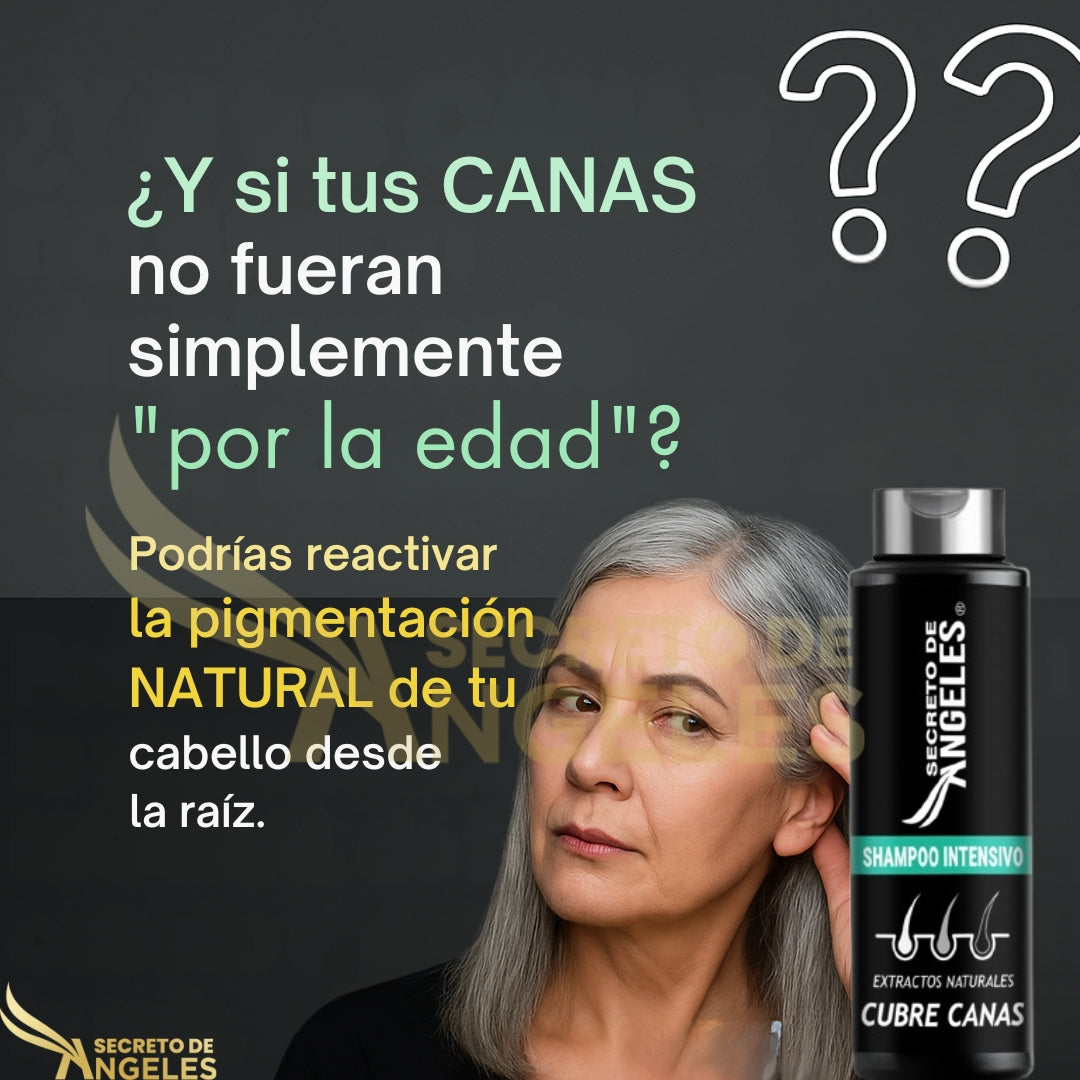 SHAMPOO CUBRE CANAS!!+ 🎁OBSEQUIO UN COLAGENO Y EXFOLIANTE 🤩🔥