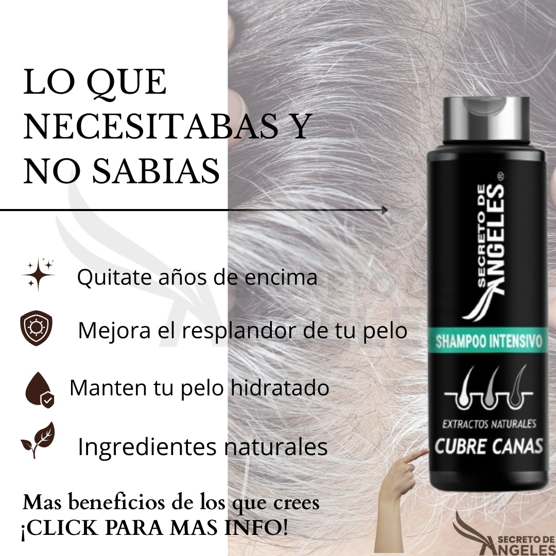 SHAMPOO CUBRE CANAS!!+ 🎁OBSEQUIO UN COLAGENO Y EXFOLIANTE 🤩🔥